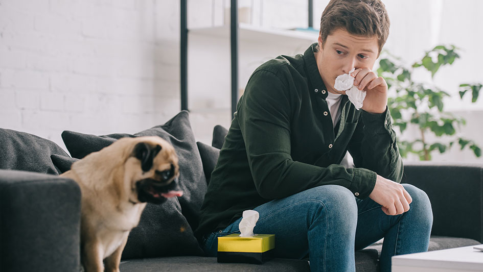 Purchasing an air purifier is one of the top ways to boost your house’s indoor air quality. Learn more about the three best options. 